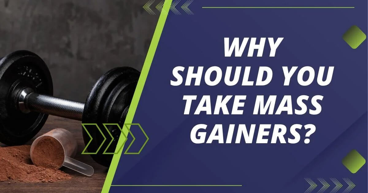 Why Should You Take Mass Gainers