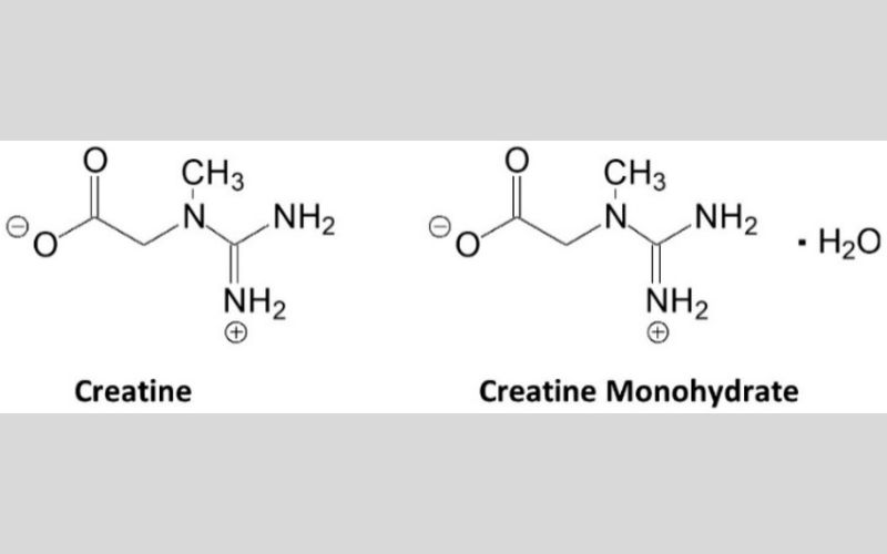 The Science Behind Creatine Monohydrate