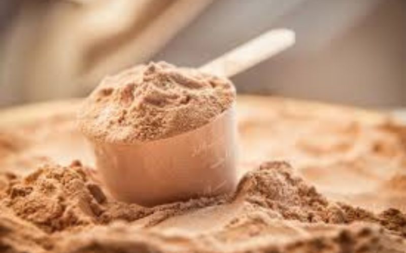 What Are Protein Powders?