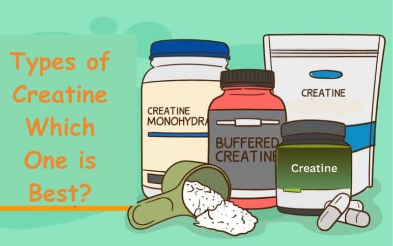 Types of Creatine Which One is Best