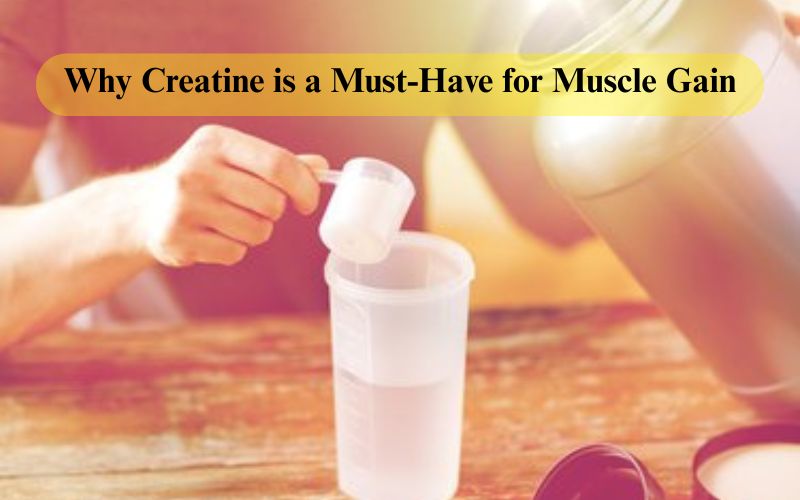 Why Creatine is a Must-Have for Muscle Gain