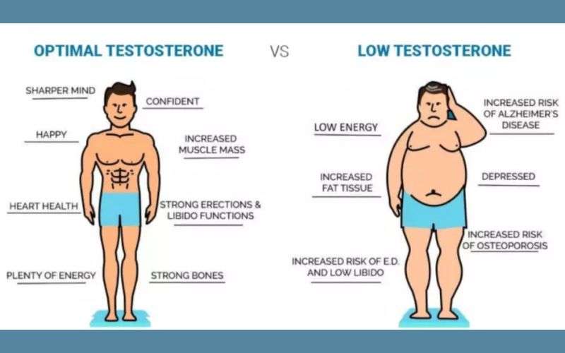 Can Low Testosterone Cause Weight Gain