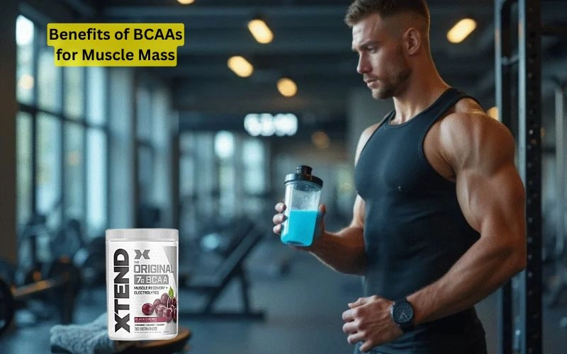 Benefits of BCAAs for Muscle Mass