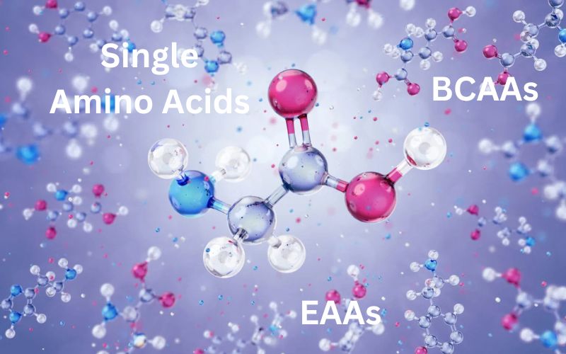 Types of Amino Acid Supplements