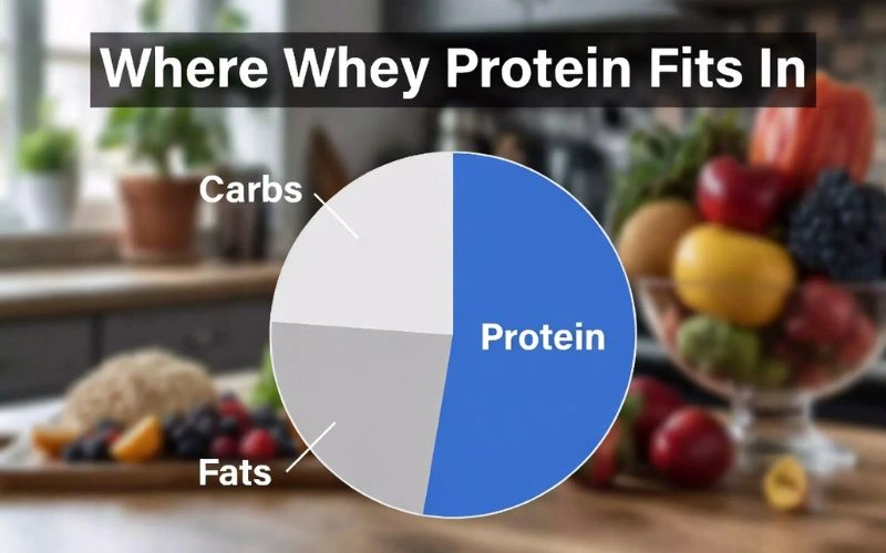 where-whey-protein-fits-in.webp
