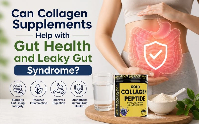 can-collagen-help-gut-health-leaky-gut-issues.webp