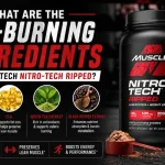 nitro-tech-ripped-fat-burning-ingredients-guide.webp