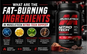 nitro-tech-ripped-fat-burning-ingredients-guide.webp