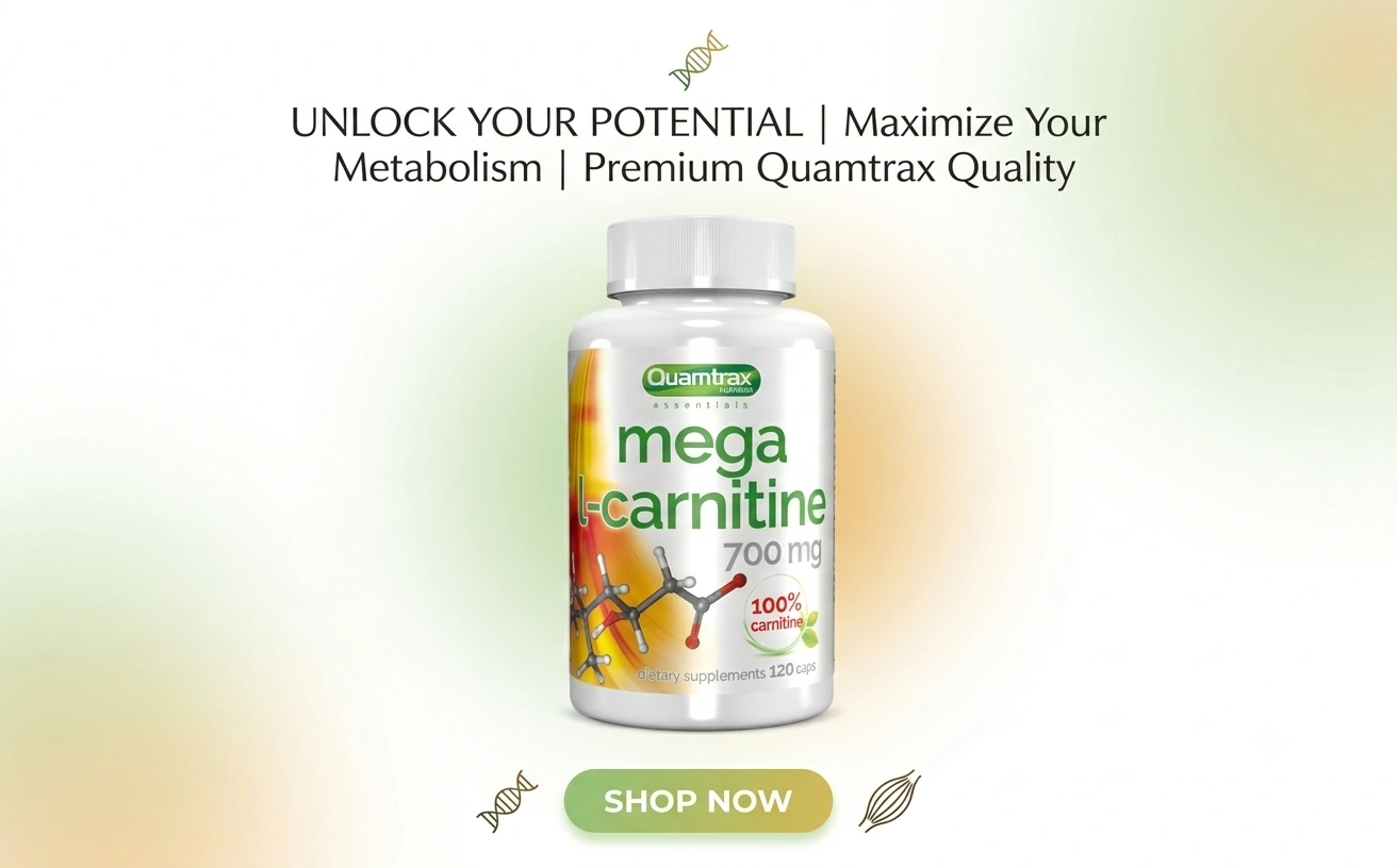 Qn Mega L-carnitine