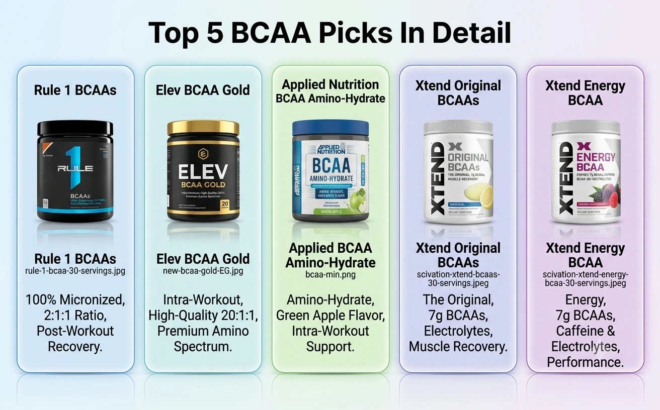 Top-5-Picks-in-Detail.webp